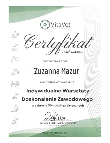 Certyfikat: Indywidualne Warsztaty Doskonalenia Zawodowego